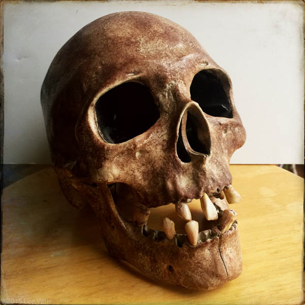 Skull-4