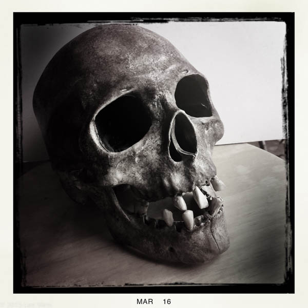 Skull-3