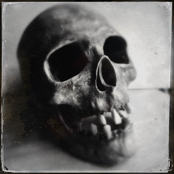 Skull-1